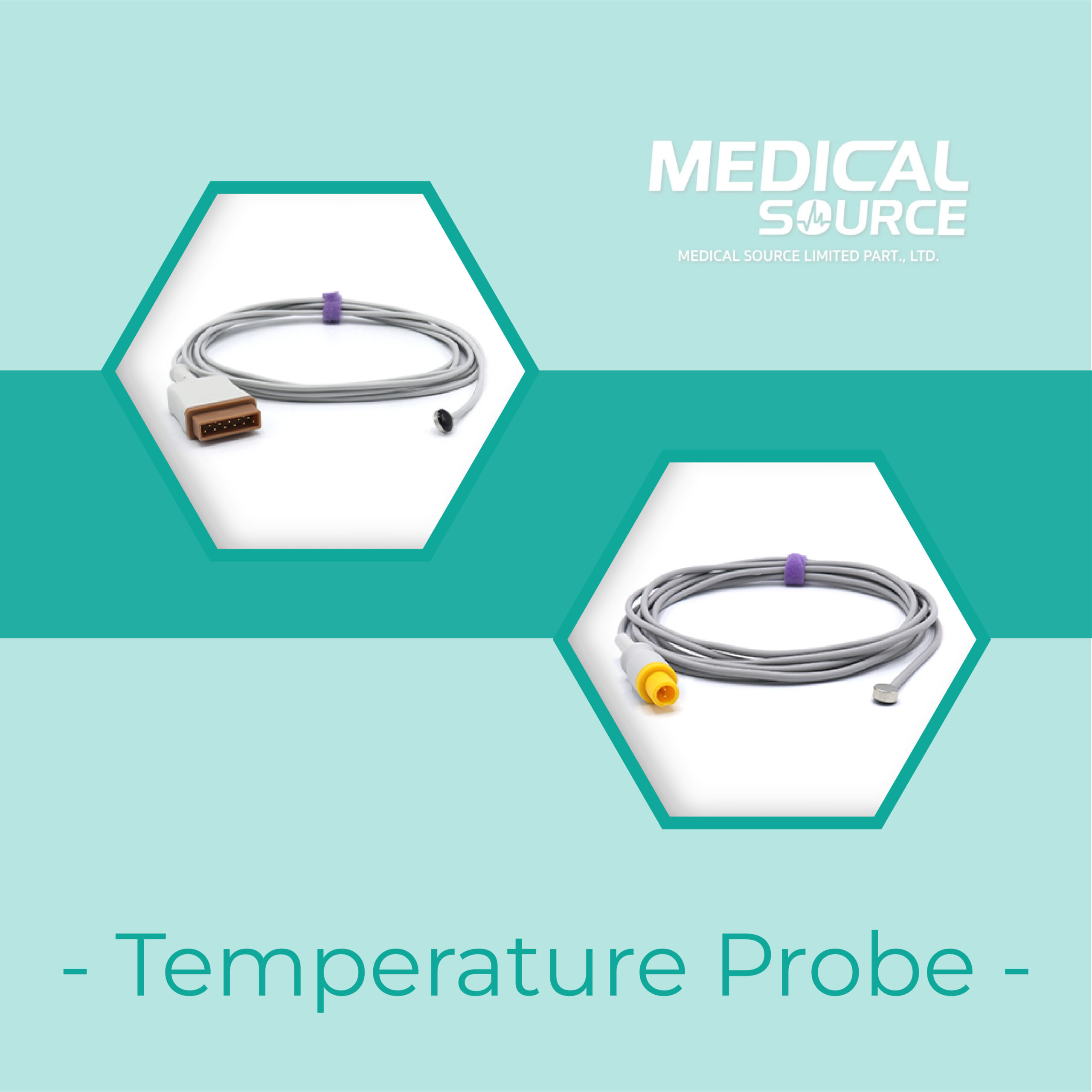 Temperature Probe